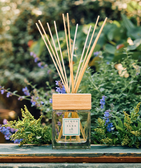 Reed diffuser with wooden sticks in a glass container on a wooden surface with a natural background